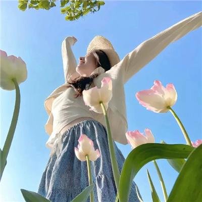 芝加哥警署第七季